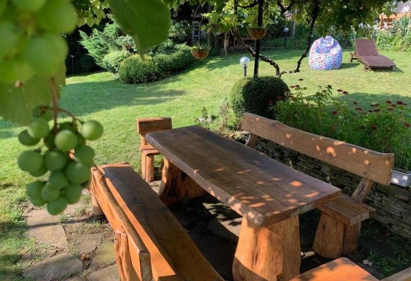 פנסיון Villa California