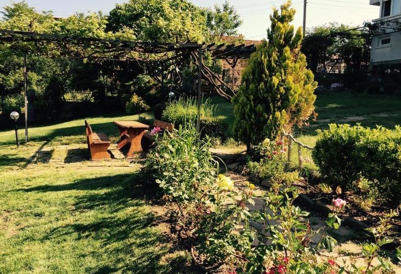 פנסיון Villa California