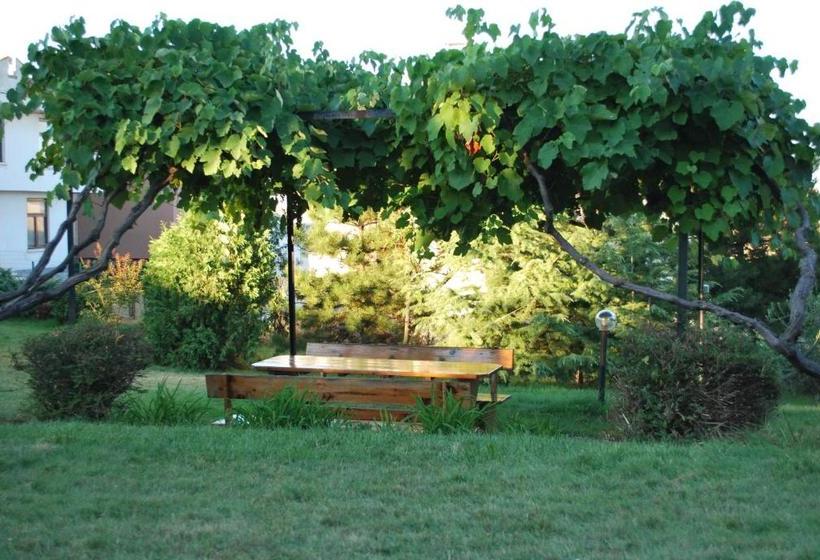 פנסיון Villa California