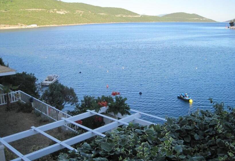 پانسیون Villa Obad Guest House