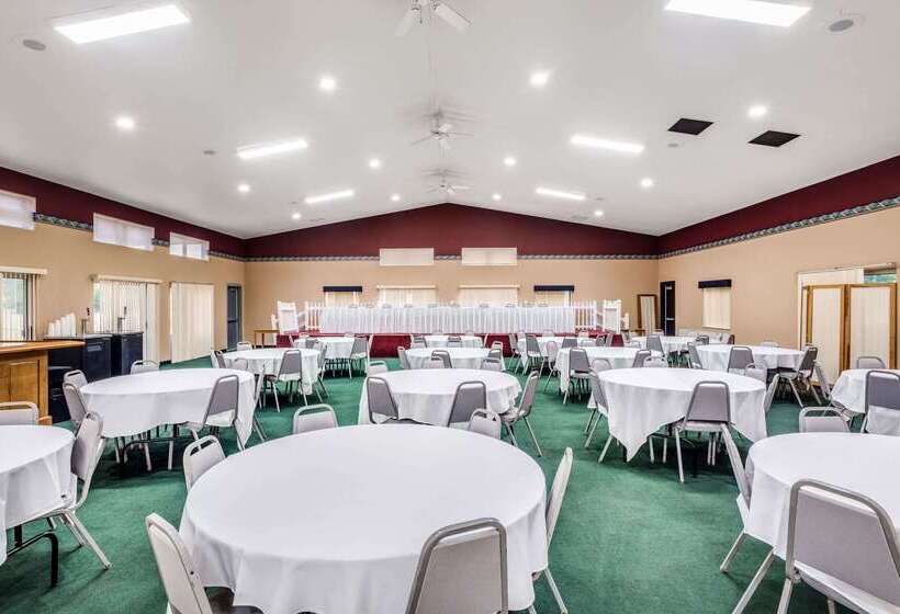 فندق صغير Comfort Inn & Suites