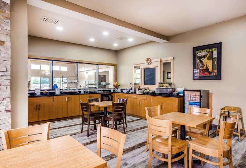 فندق صغير Comfort Inn & Suites