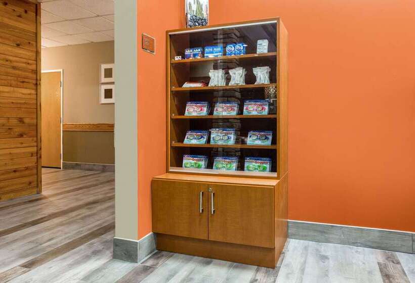 فندق صغير Comfort Inn & Suites