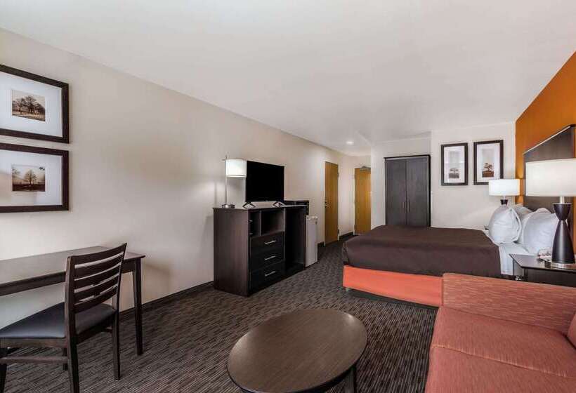 호스텔 Comfort Inn & Suites