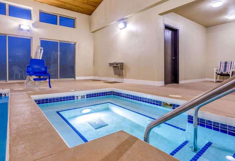 فندق صغير Comfort Inn & Suites