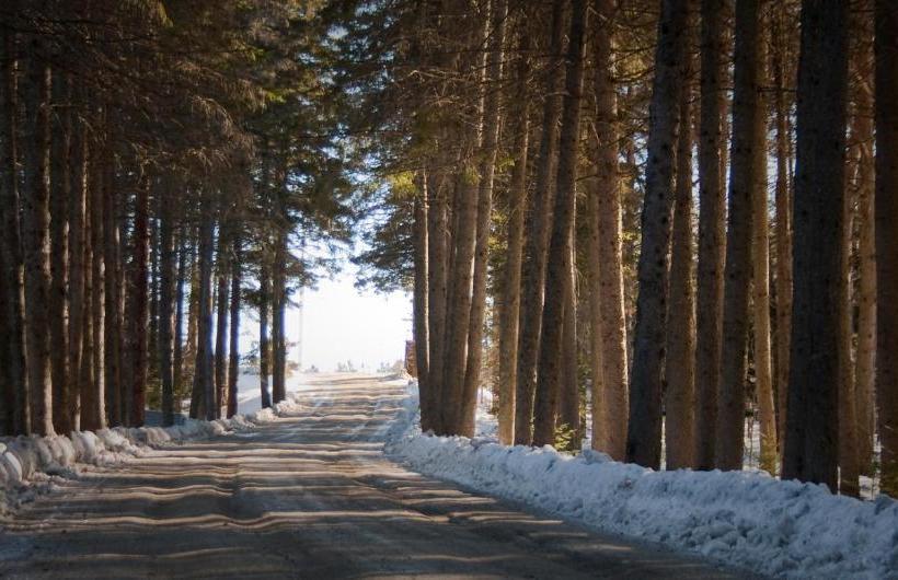 호스텔 Auberge Les Victorines Du Lac