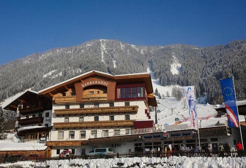 فندق صغير Barbarahof