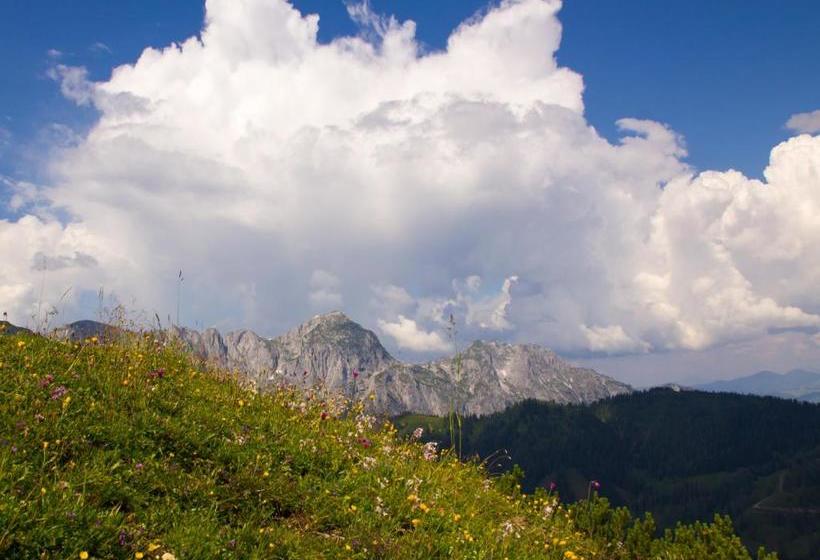 فندق صغير Barbarahof