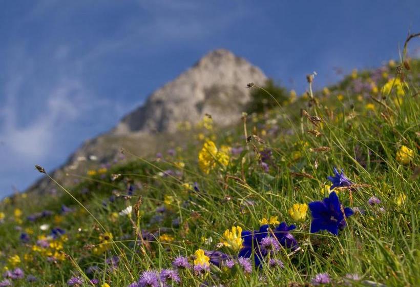 فندق صغير Barbarahof