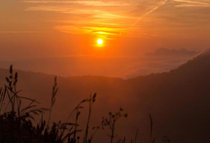 فندق صغير Barbarahof