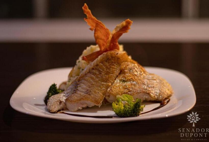 Herberge Senador Dupont