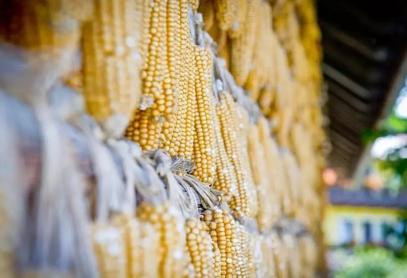 ホテル Bauernhof Liendl