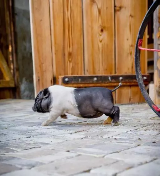 ホテル Bauernhof Liendl