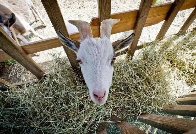 ホテル Bauernhof Liendl