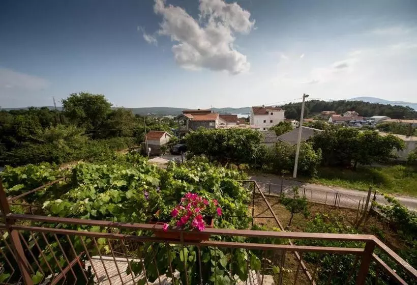 پانسیون Apartments Pavićević