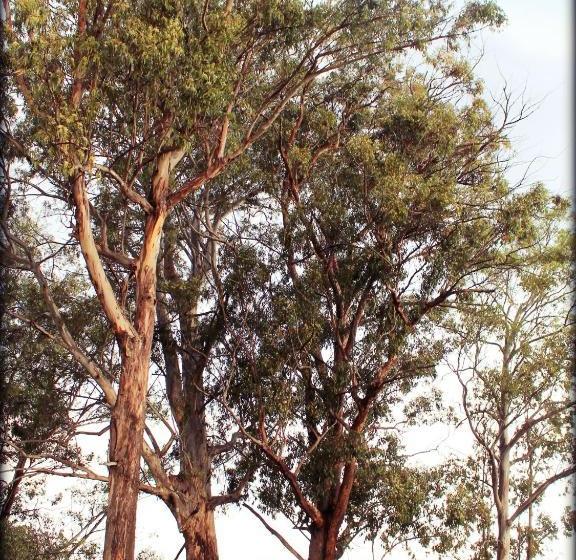 פנסיון Aqua Terra Guest House