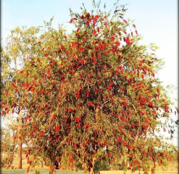 פנסיון Aqua Terra Guest House