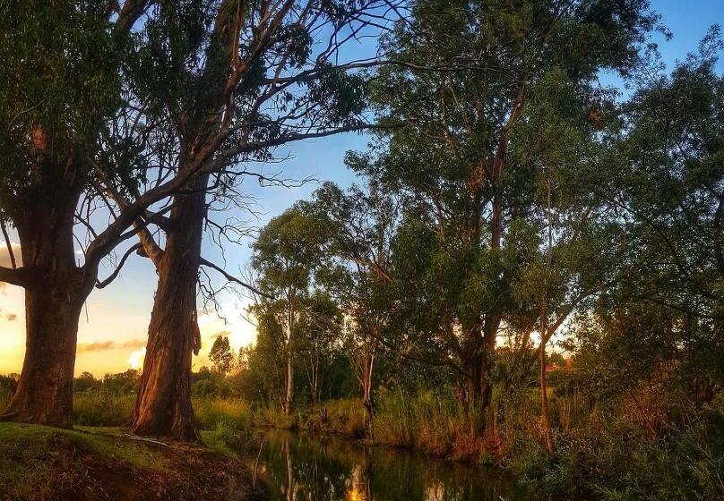 פנסיון Aqua Terra Guest House