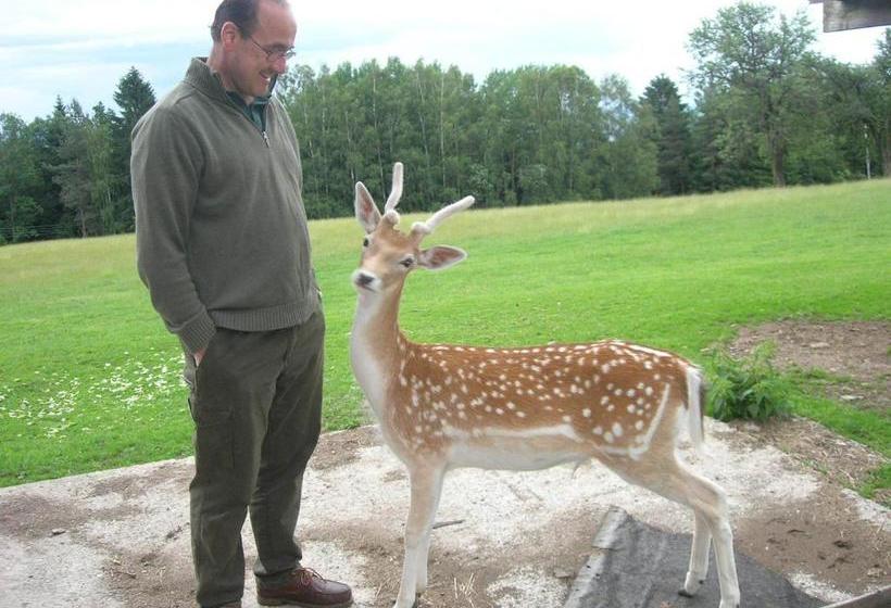 膳宿费 Bioalm Wassermann Wirt