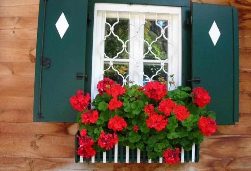 膳宿费 Bioalm Wassermann Wirt