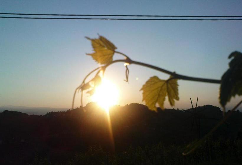 膳宿费 Bioalm Wassermann Wirt