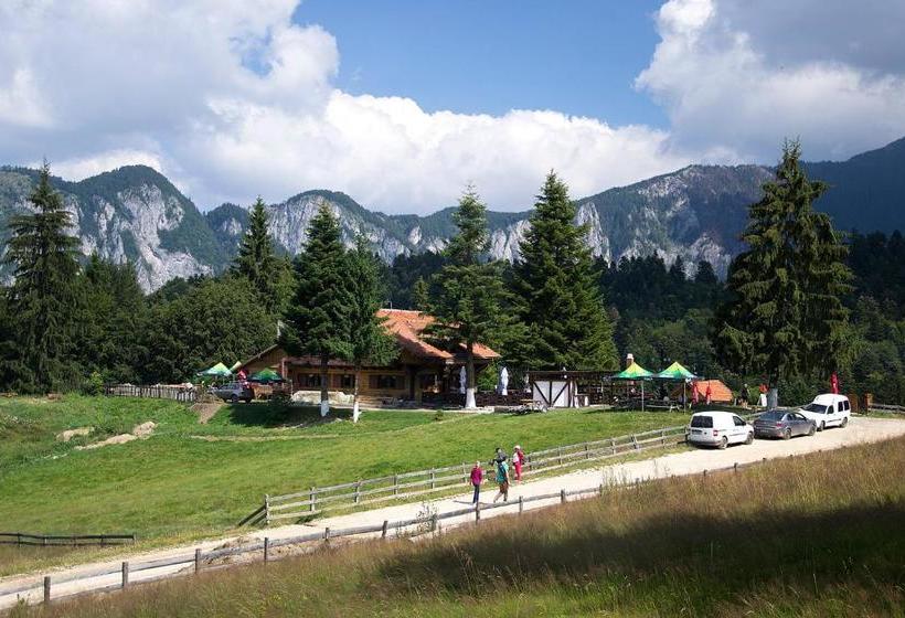 پانسیون Cabana Poiana Secuilor