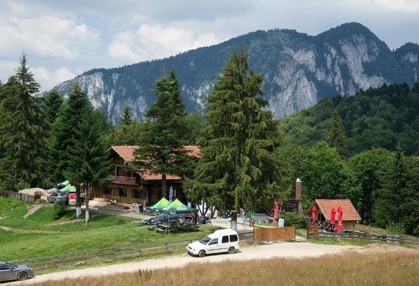 پانسیون Cabana Poiana Secuilor