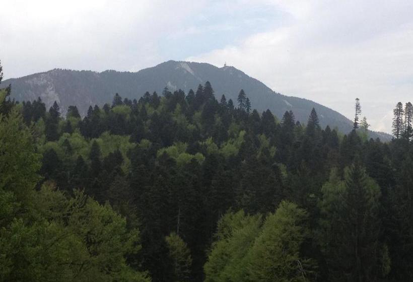 پانسیون Cabana Poiana Secuilor