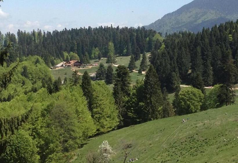 پانسیون Cabana Poiana Secuilor