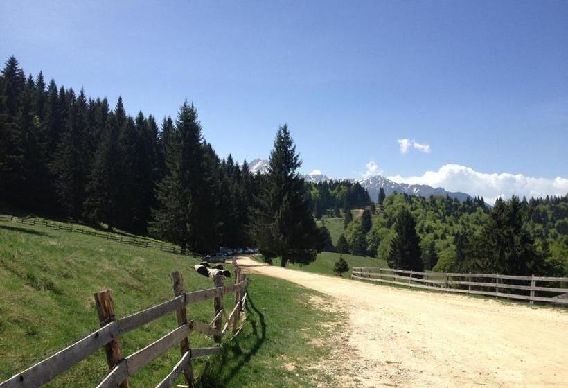 پانسیون Cabana Poiana Secuilor