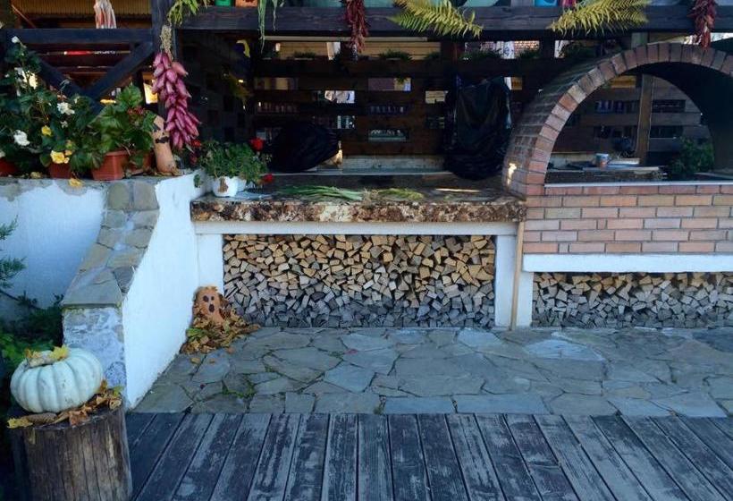 پانسیون Cabana Poiana Secuilor