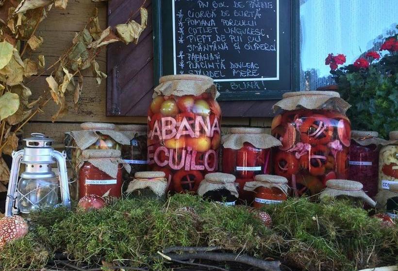 پانسیون Cabana Poiana Secuilor