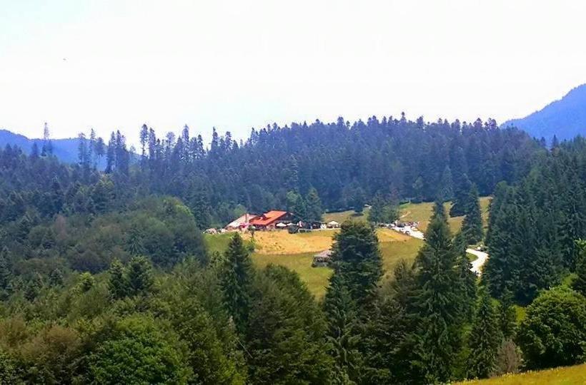 پانسیون Cabana Poiana Secuilor