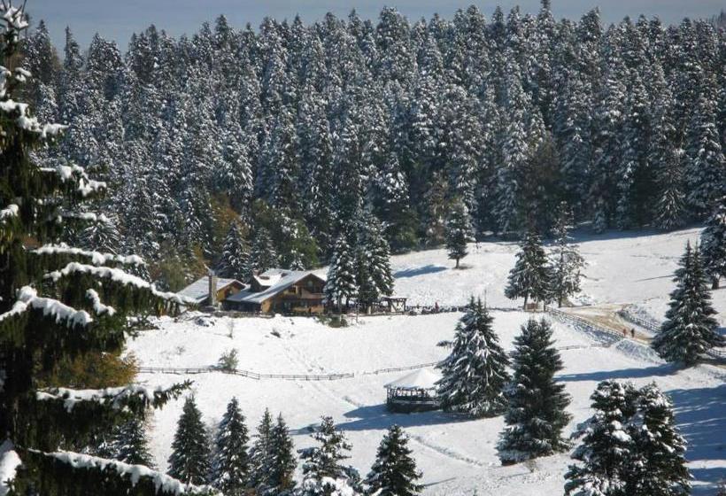 پانسیون Cabana Poiana Secuilor