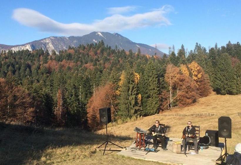 پانسیون Cabana Poiana Secuilor