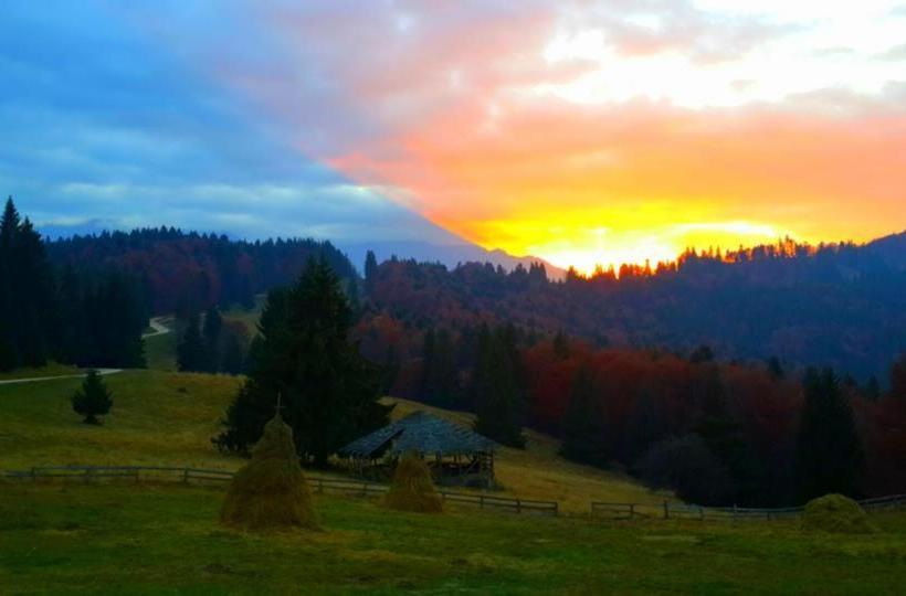 پانسیون Cabana Poiana Secuilor