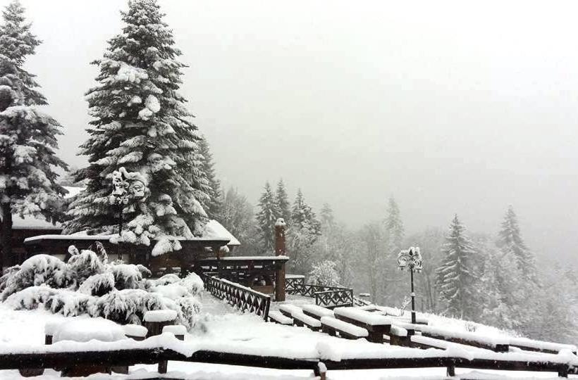 پانسیون Cabana Poiana Secuilor