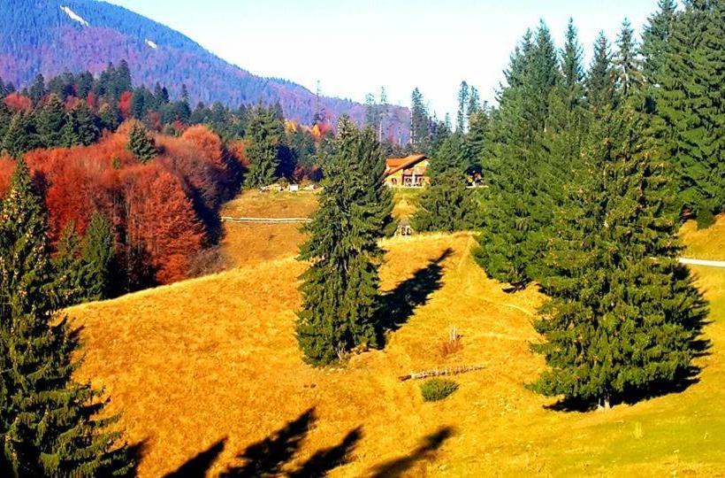 پانسیون Cabana Poiana Secuilor