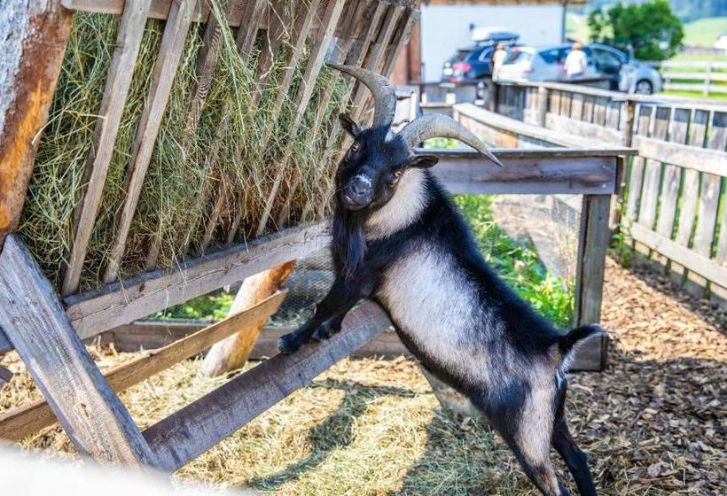 פנסיון Feriengut Fingerhof