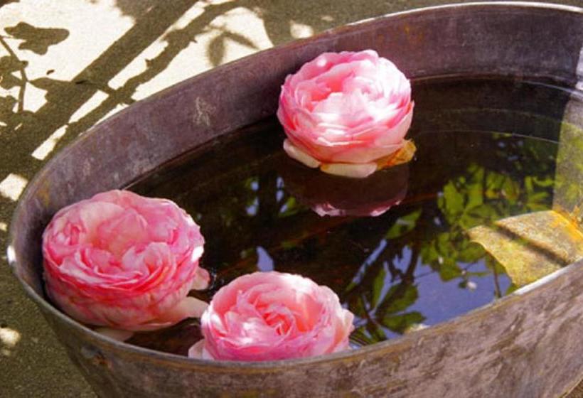 ペンション Gästehaus Pfister Maria