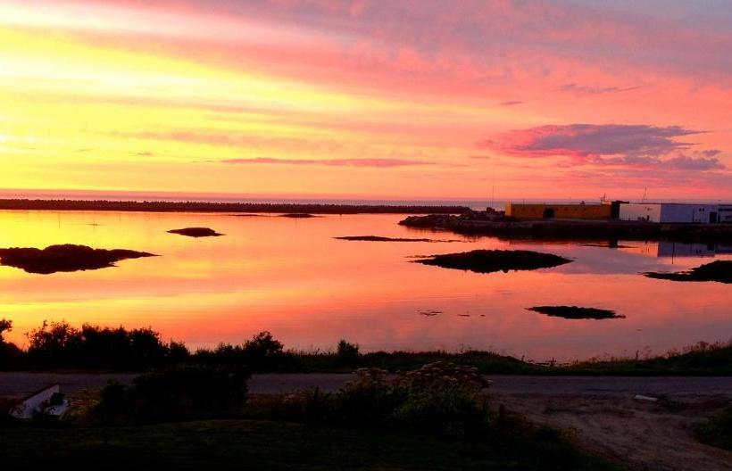 ペンション Kristina Apartment & Alma House