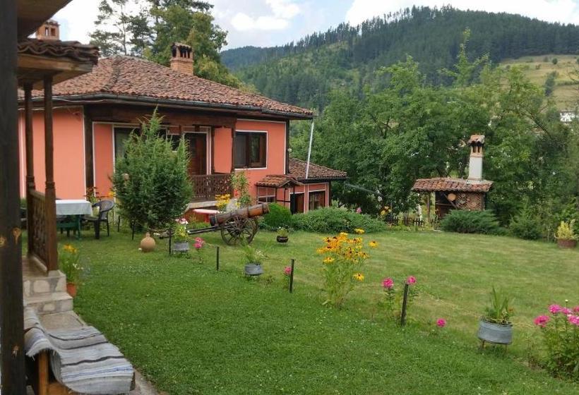 Pensione Mechta Guest House