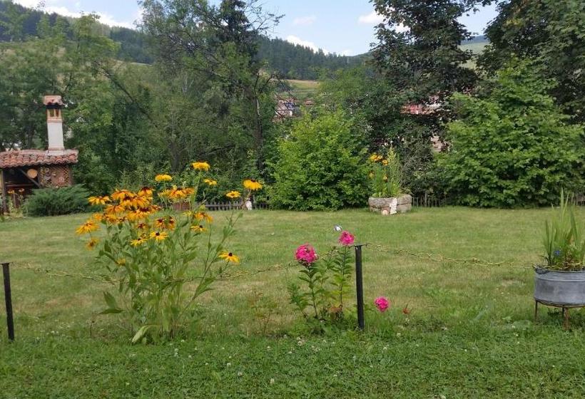 Pensione Mechta Guest House