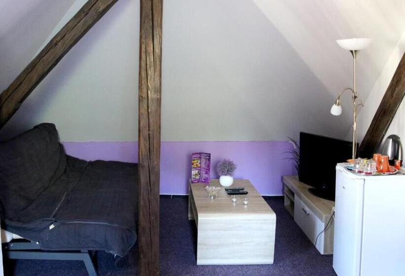 بنسيون Penzion Vulture Havířov