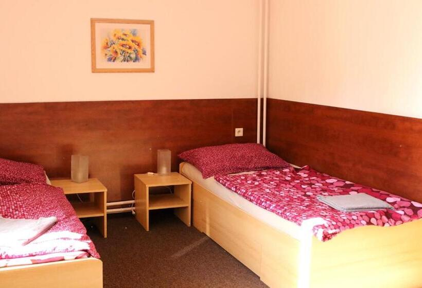 Pensione Penzion Vulture Havířov