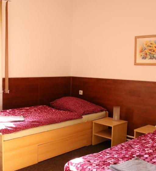 Pensione Penzion Vulture Havířov