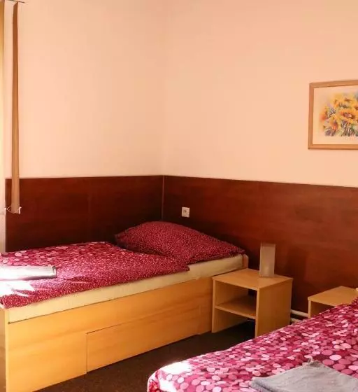 Majatalo Penzion Vulture Havířov