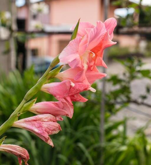 پانسیون Pousada Casa Tasca