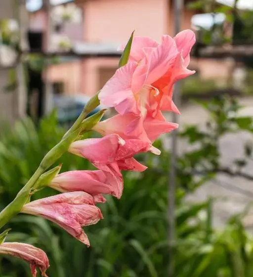 Majatalo Pousada Casa Tasca