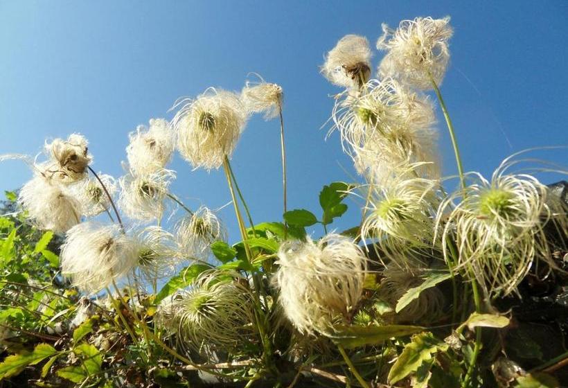 ペンション T Valkennestje